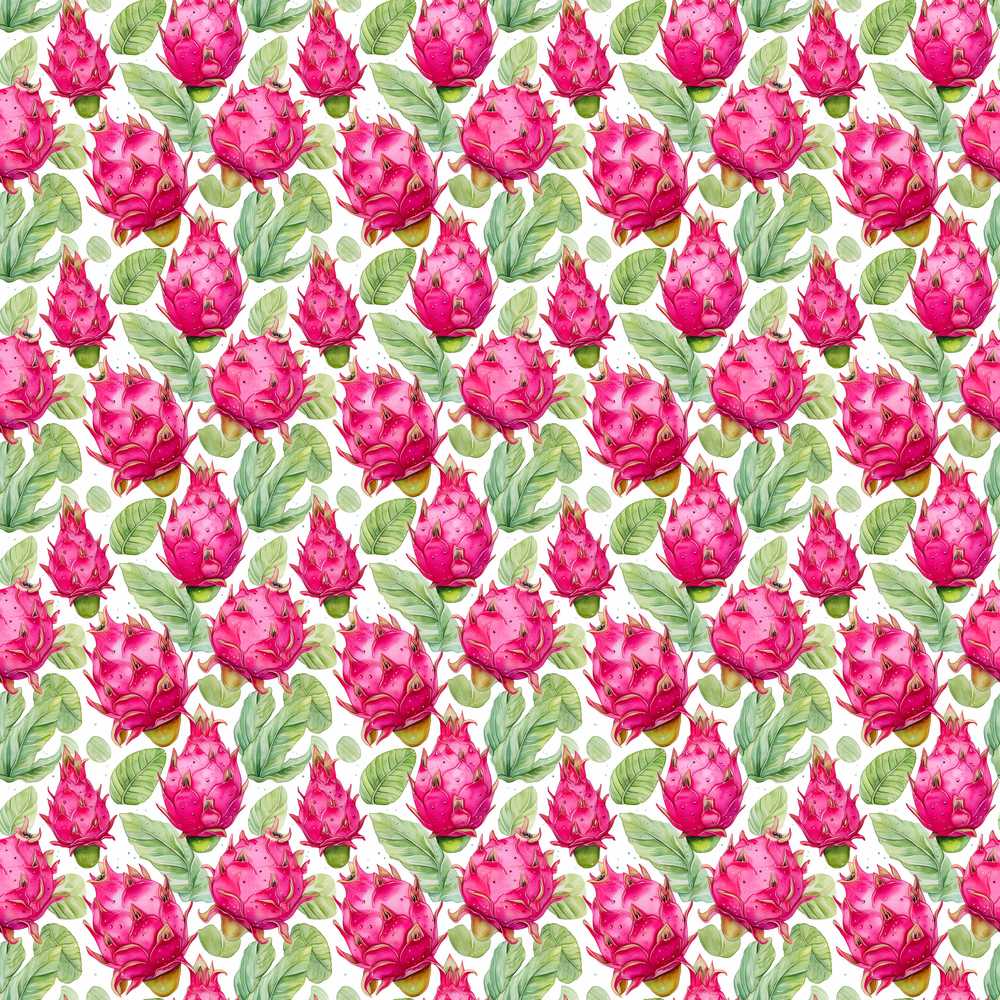 Watercolor Dragon Fruit Tropical Illustration Repeat Pattern Design