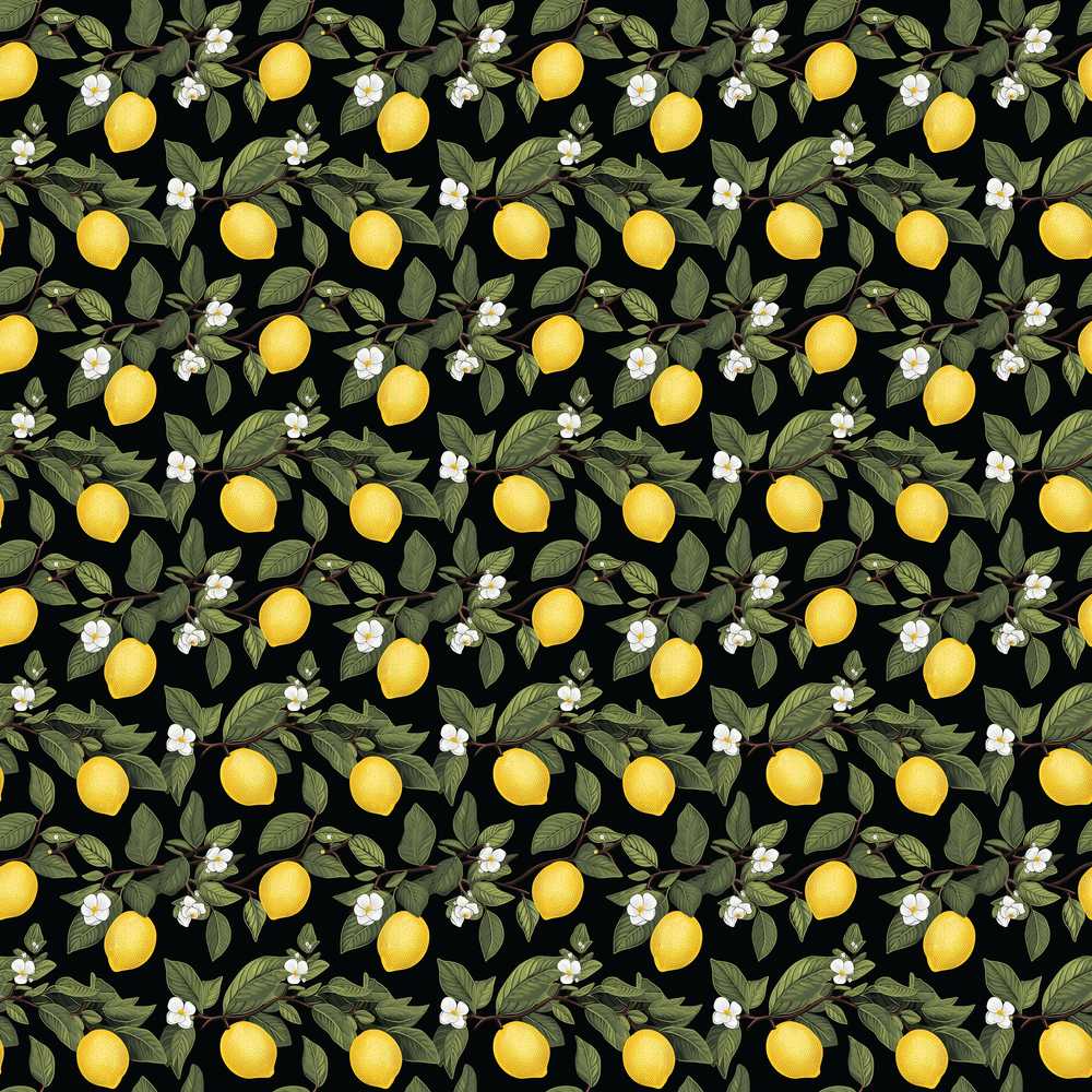 Detailed Lemon Branches on Black Background Vintage Botanical Wildflower