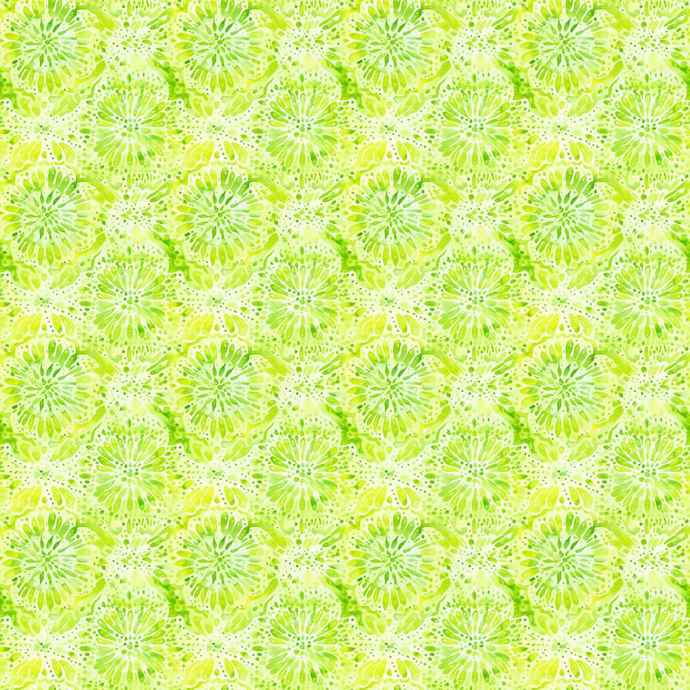 Watercolor Citrus Slice Lime Seamless Fresh Fruit Illustration