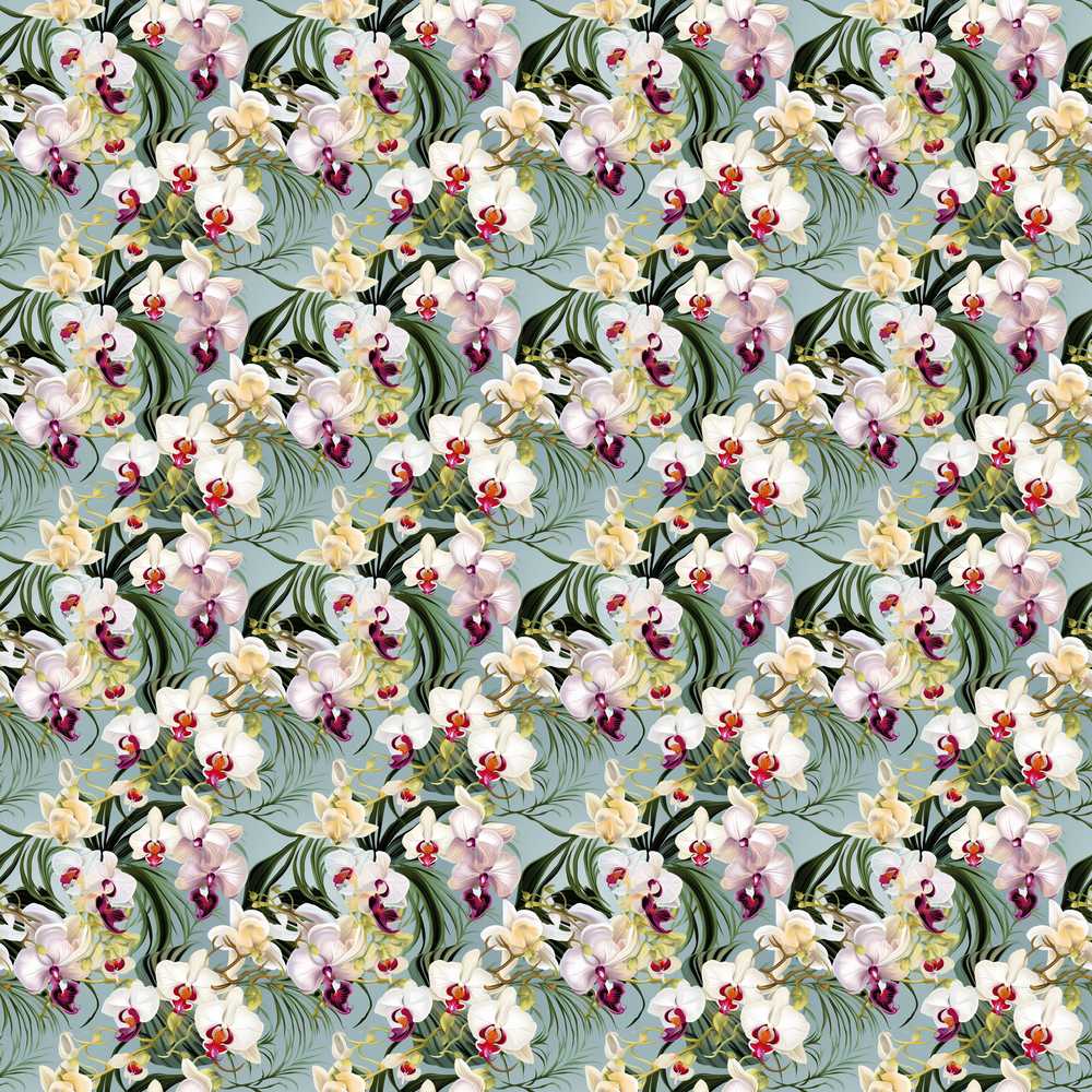 Tropical Orchid Floral with Cream and Pink Blooms Soft Blue