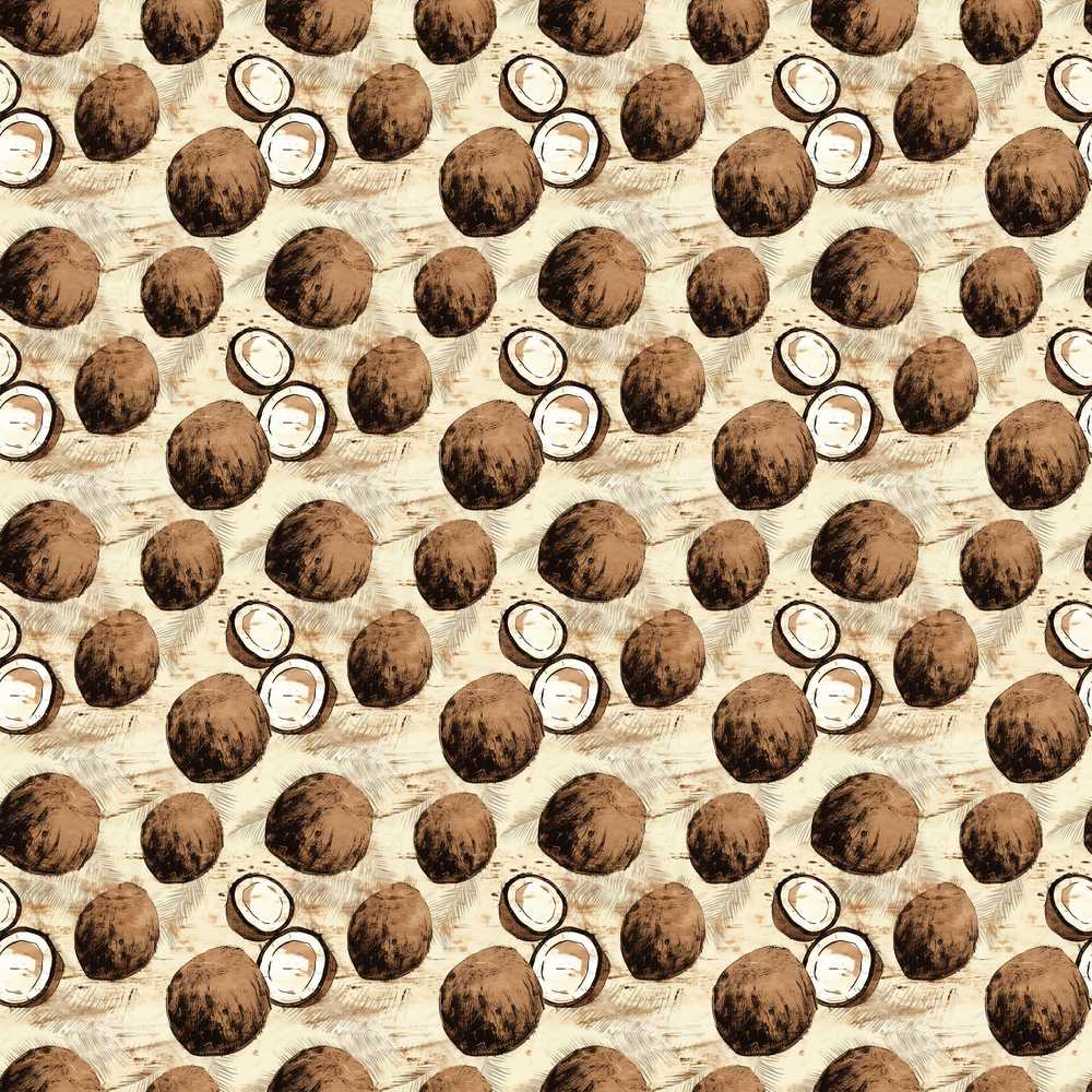 Rustic Coconut Shell and Whole Coconut Vintage Sketch Style