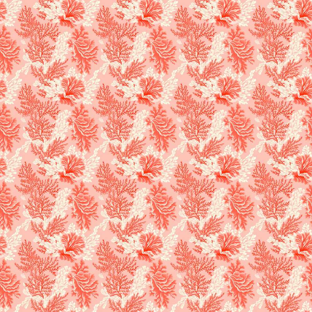 Coral Reef Inspired Floral in Soft Pink and Red Tones