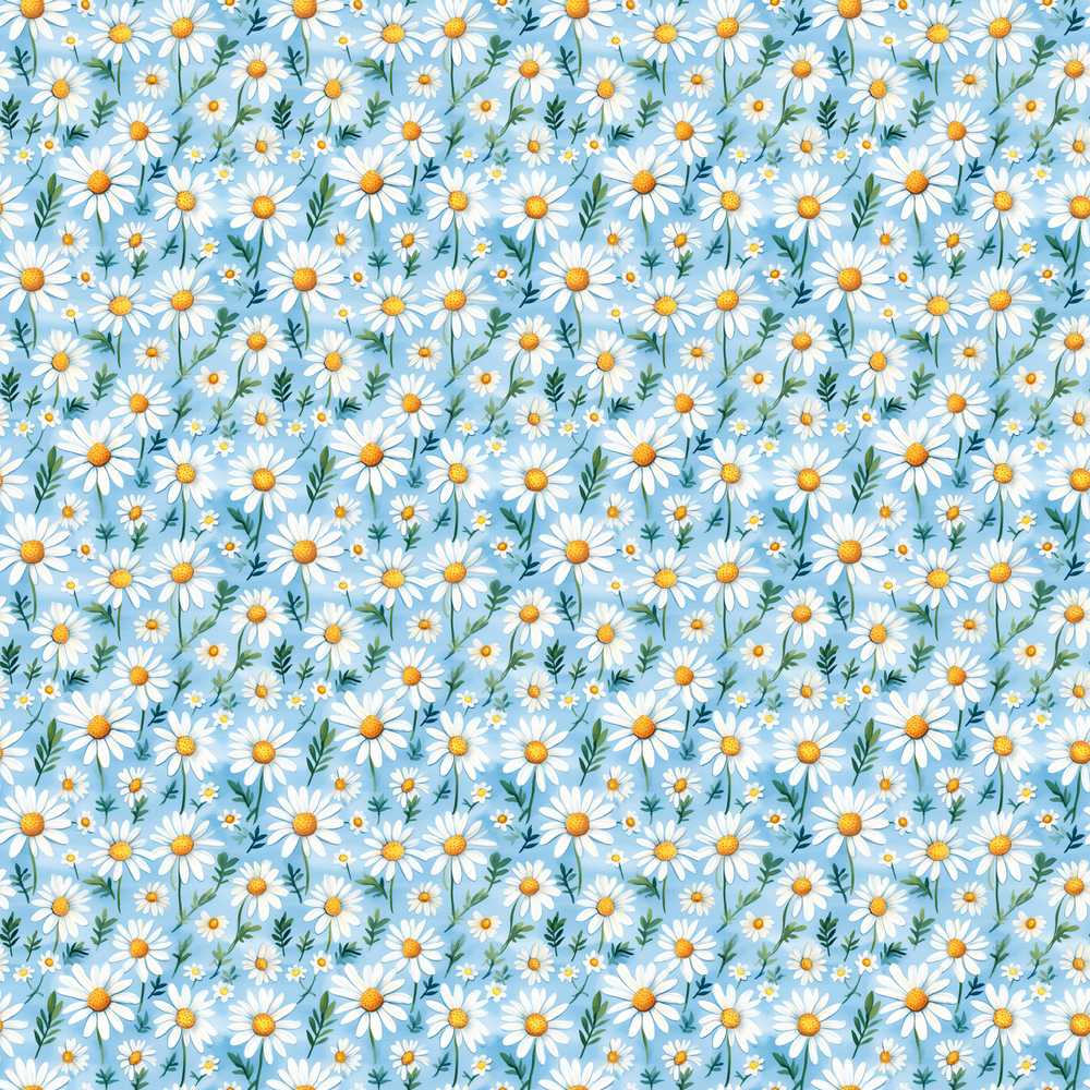 Small White Daisy Floral Meadow Wildflower Pattern Botanical
