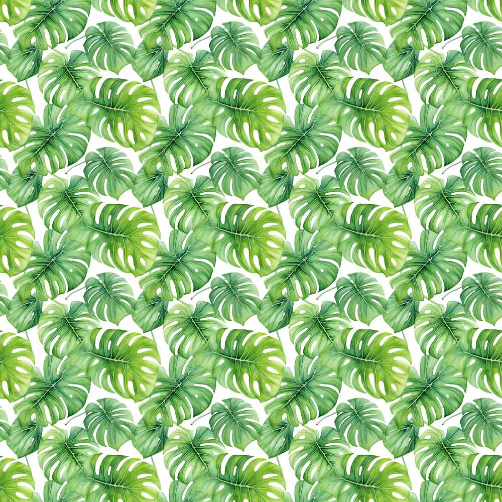 Green Tropical Monstera Leaves on White Background Wildflower Pattern