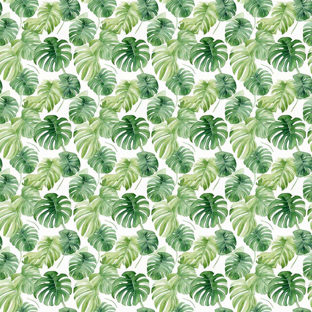 Light Green Botanical Monstera Leaf Arrangement Wildflower Pattern