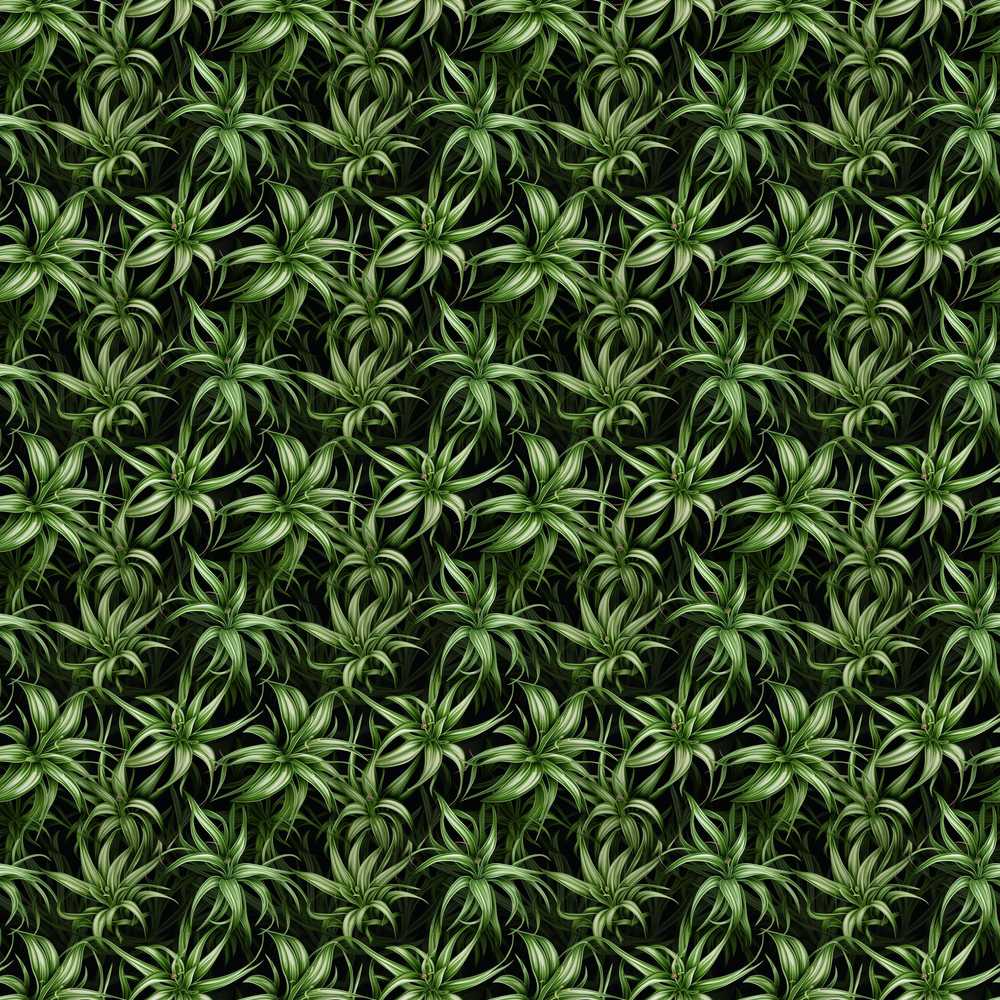 Dark Green Spider Plant Leaves Dense Jungle Wildflower Pattern
