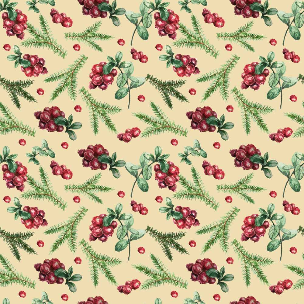 Watercolor Holly Berries Pine Branches and Botanical Christmas Wildflower