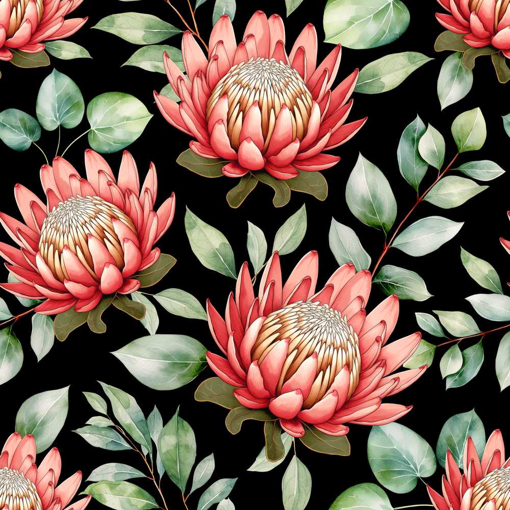 Coral Protea Flowers on Black Background Seamless Botanical Wildflower