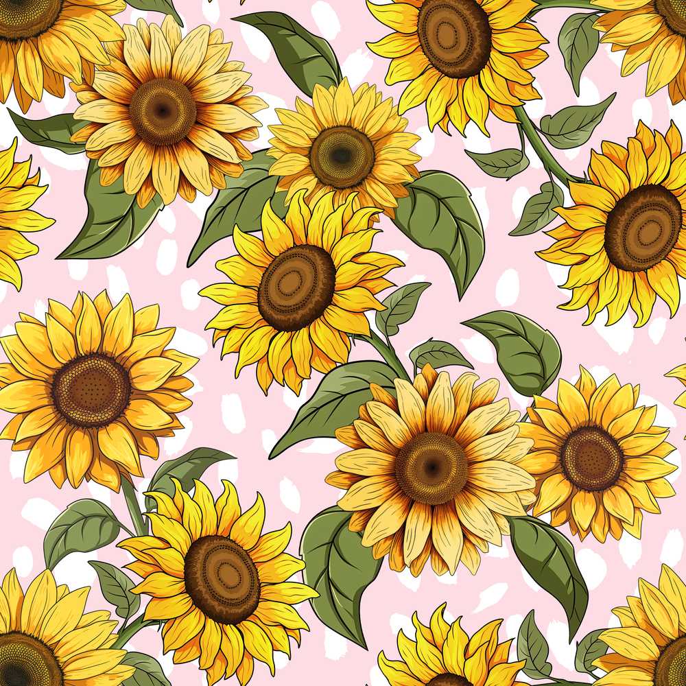 Bright Yellow Sunflower Pink Abstract Background Wildflower Pattern Botanical