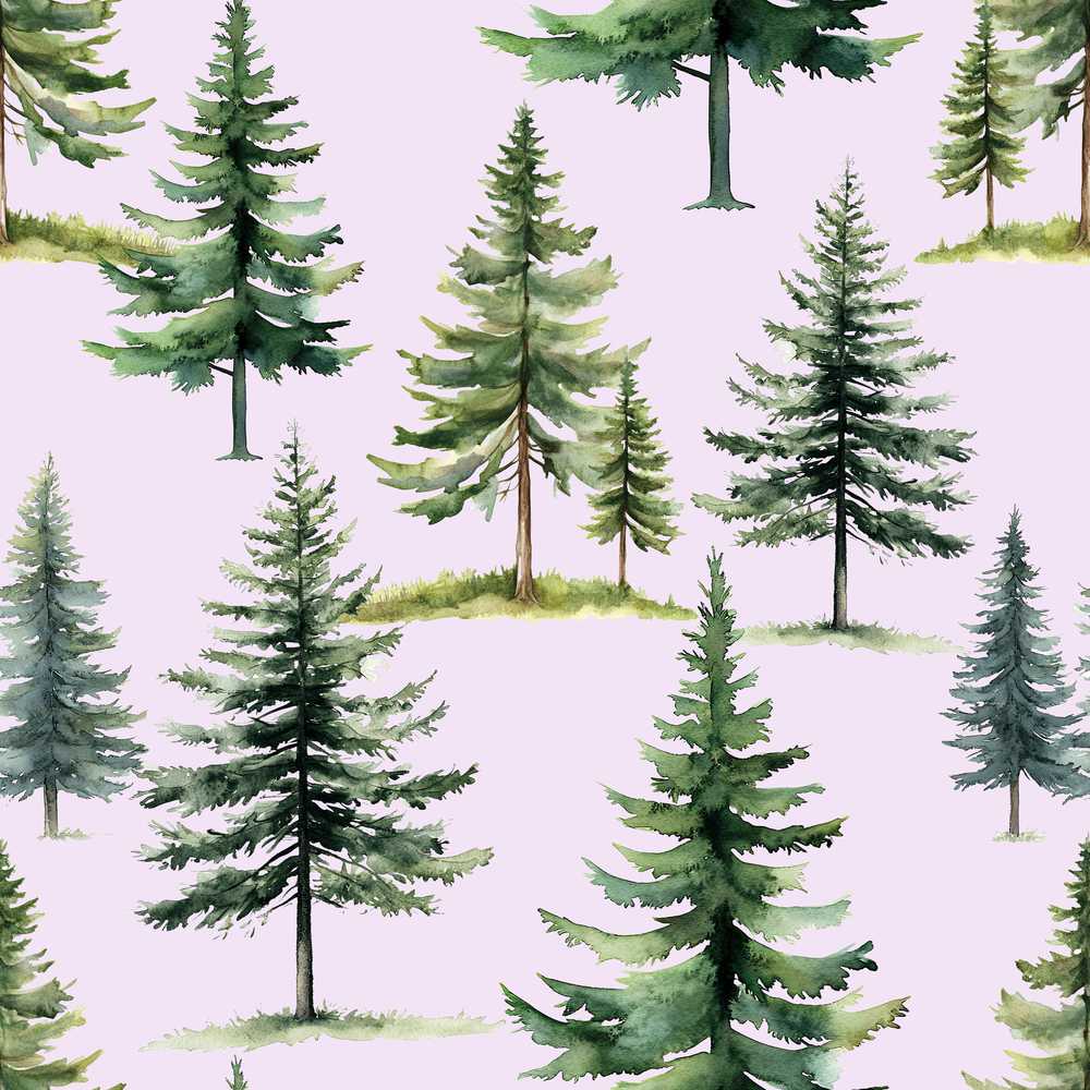 Watercolor Pine Tree Forest Lavendar Background Decorative Repeat
