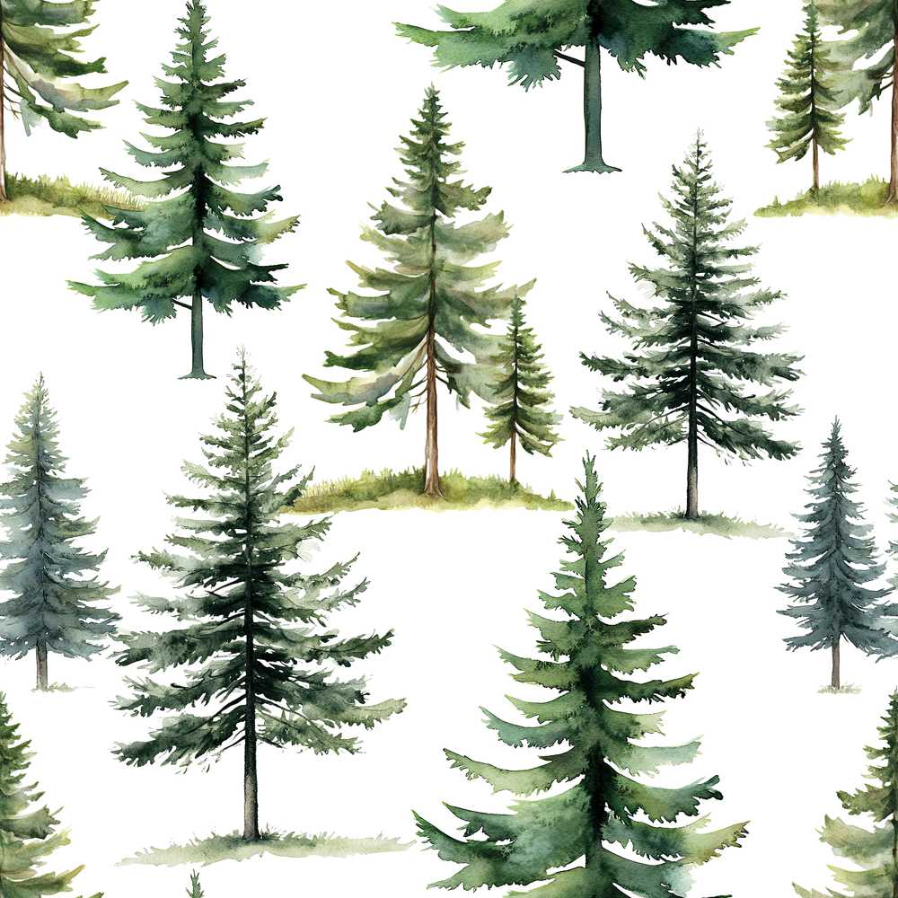 Watercolor Pine Tree Forest Off White Background Decorative