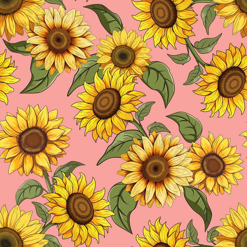 Bright Yellow Sunflower Floral Warm Coral Background Wildflower Pattern