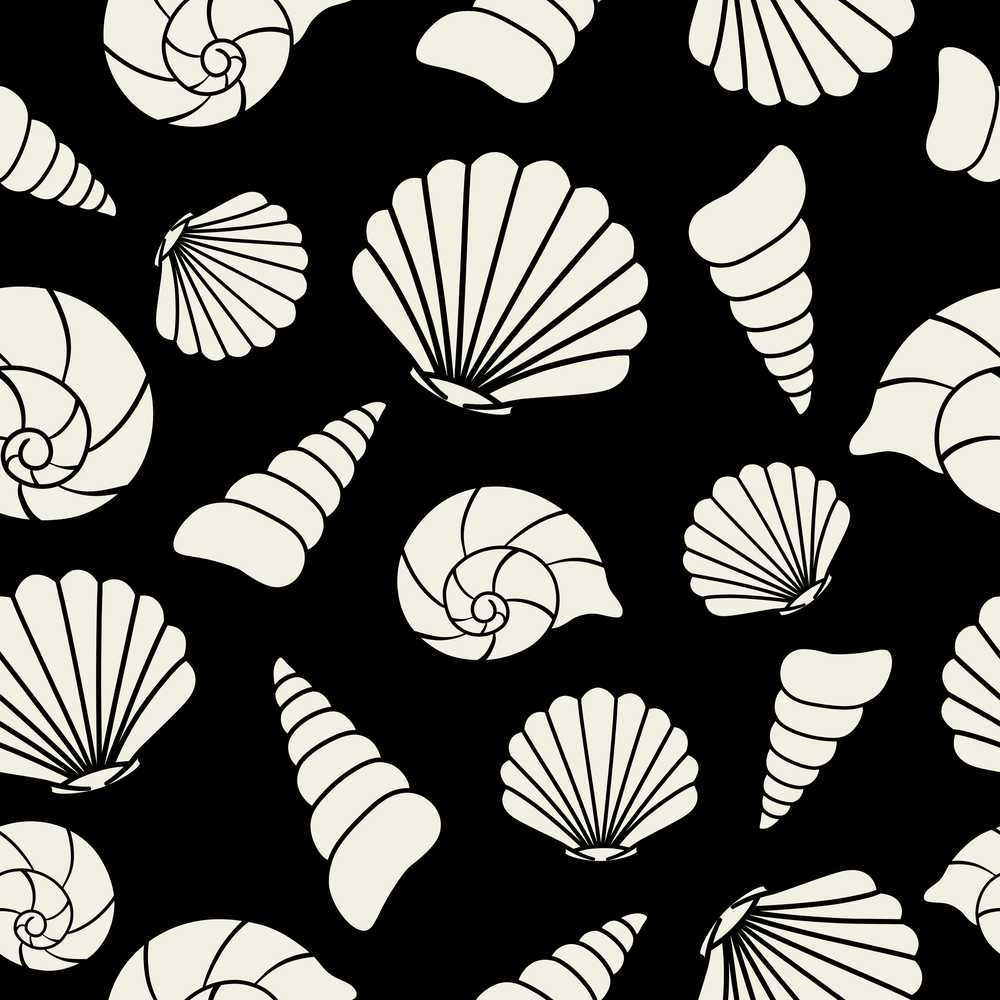 Minimal Sea Shells Black Background Coastal Illustration Pattern