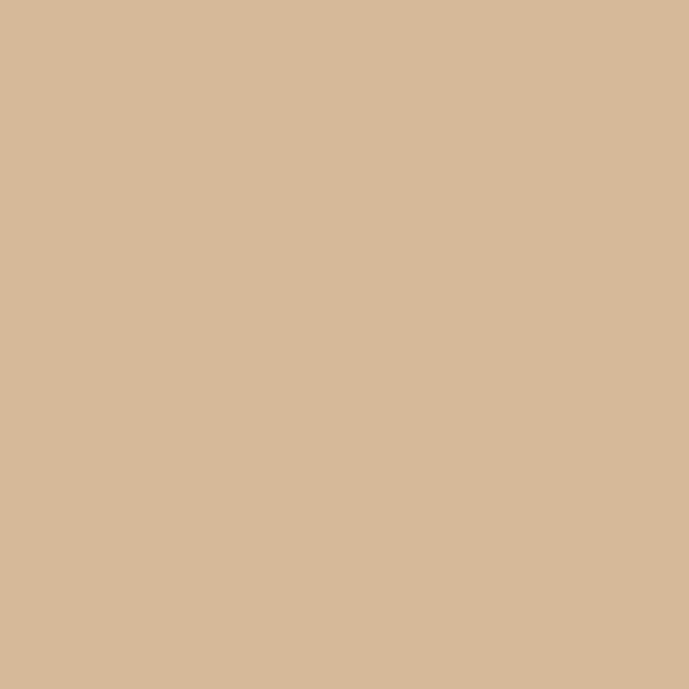 Neutral Seashell Coastal Beige Minimal Illustration Pattern Design