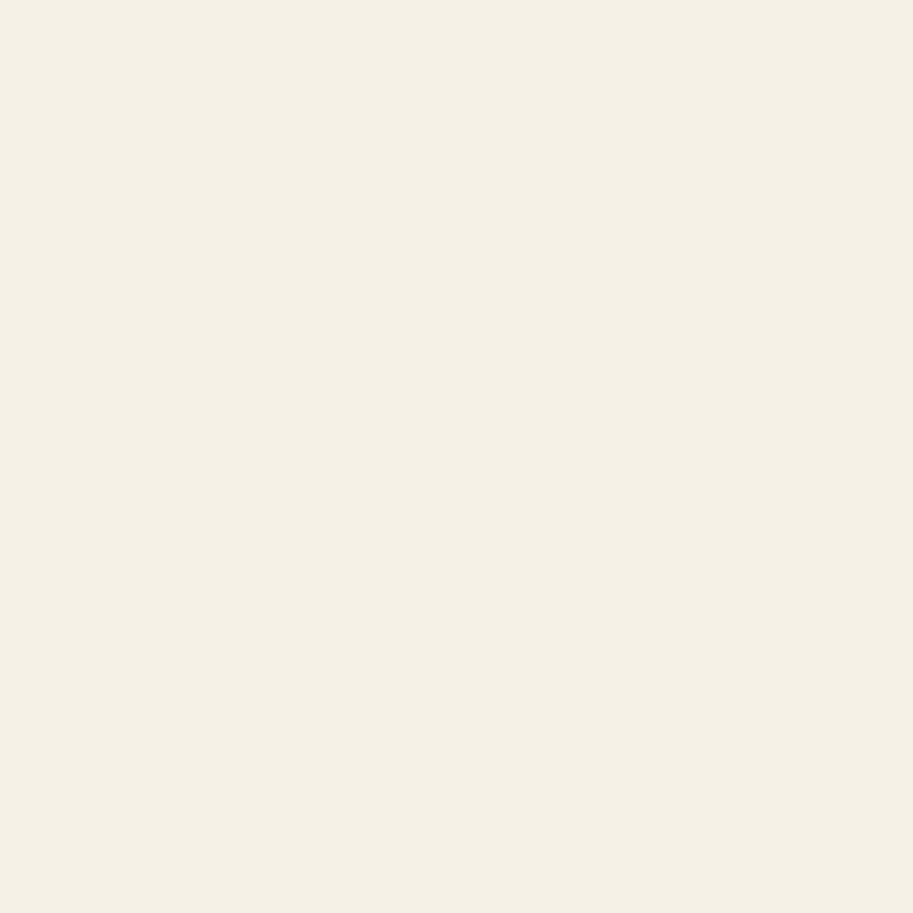 Light Neutral Seashell Coastal Minimal Illustration Pattern Design