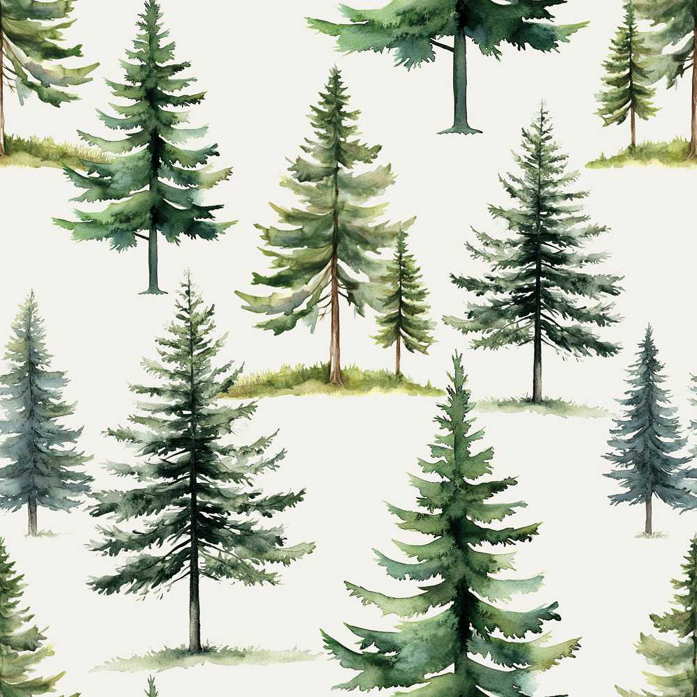 Pine Tree Forest Evergreen Woodland Nature on Light Grey