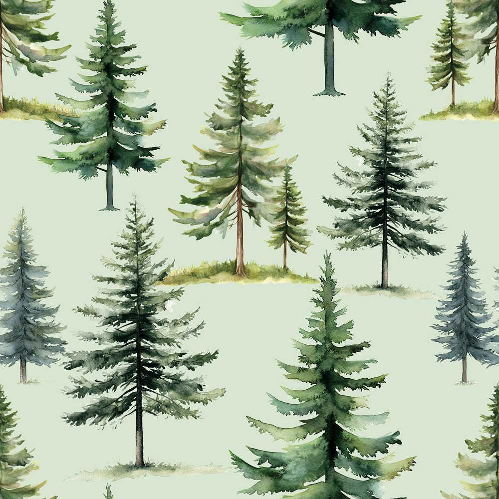 Pine Tree Forest Evergreen Woodland Nature on Sage Green