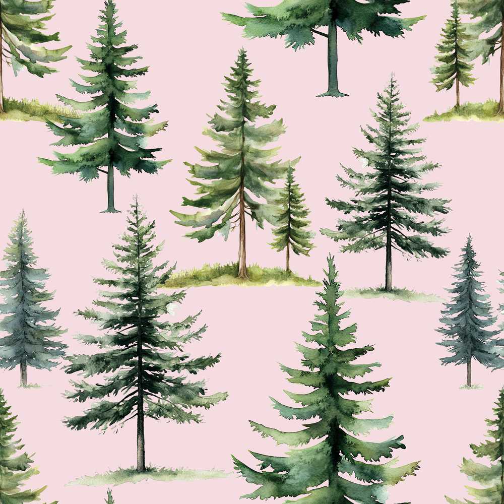 Pine Tree Forest Evergreen Woodland Nature on Blush Pink