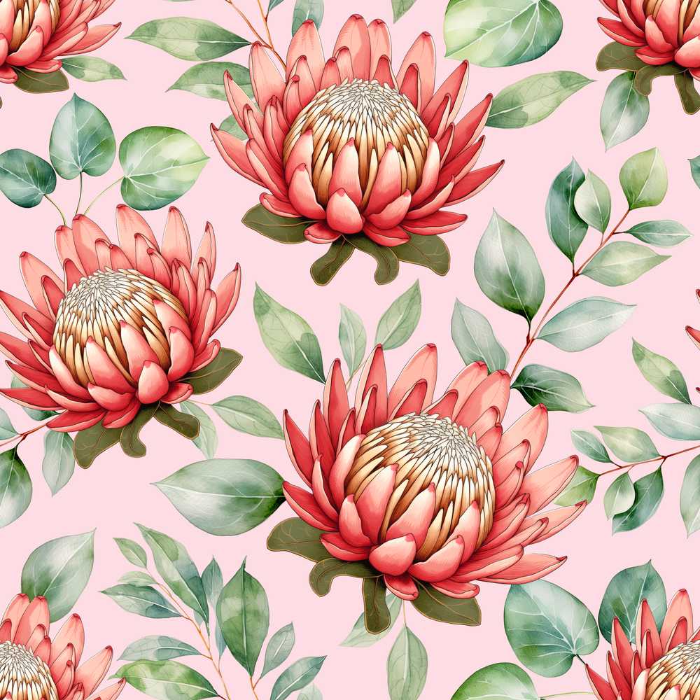 Elegant Protea Flower Pink Botanical Art Nature Floral Wildflower