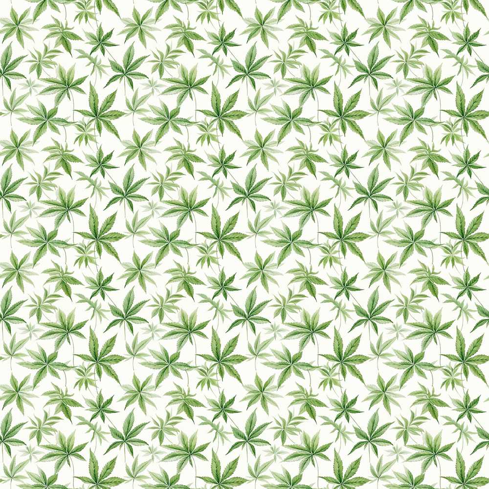 Soft Green Cannabis Leaf Watercolor on White Wildflower Pattern