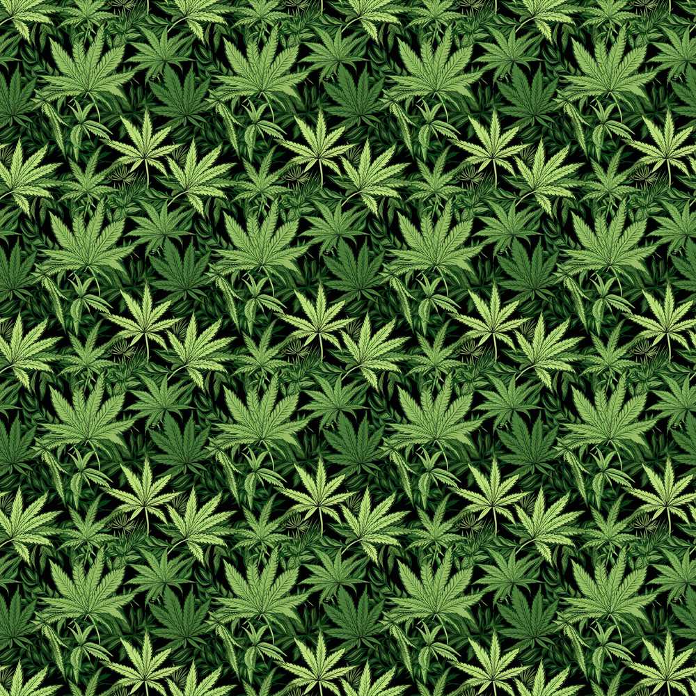 Deep Green Cannabis Jungle Foliage Decorative Repeat Pattern