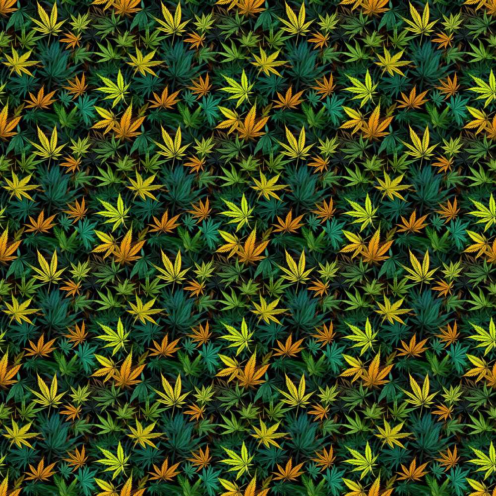 Autumn Yellow Green and Orange Cannabis Leaves Wildflower Pattern