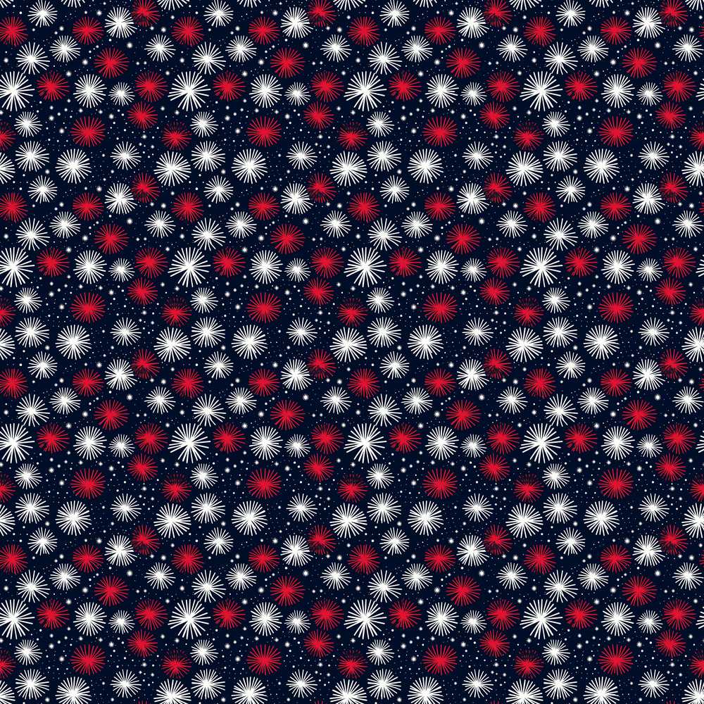 Bold Red White Fireworks Burst Night Sky Celebration