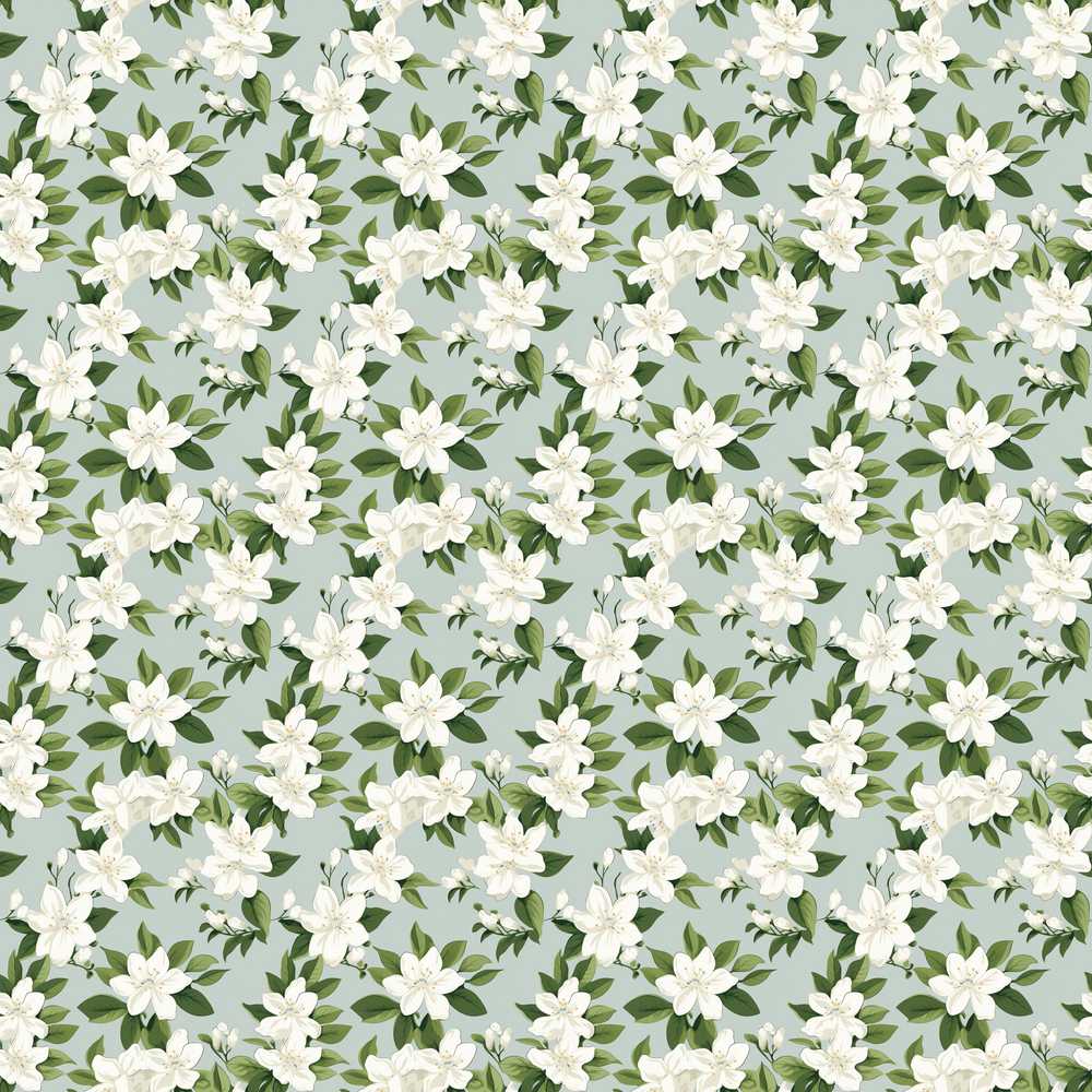 White Jasmine Flowers on Sage Green Delicate Botanical Wildflower
