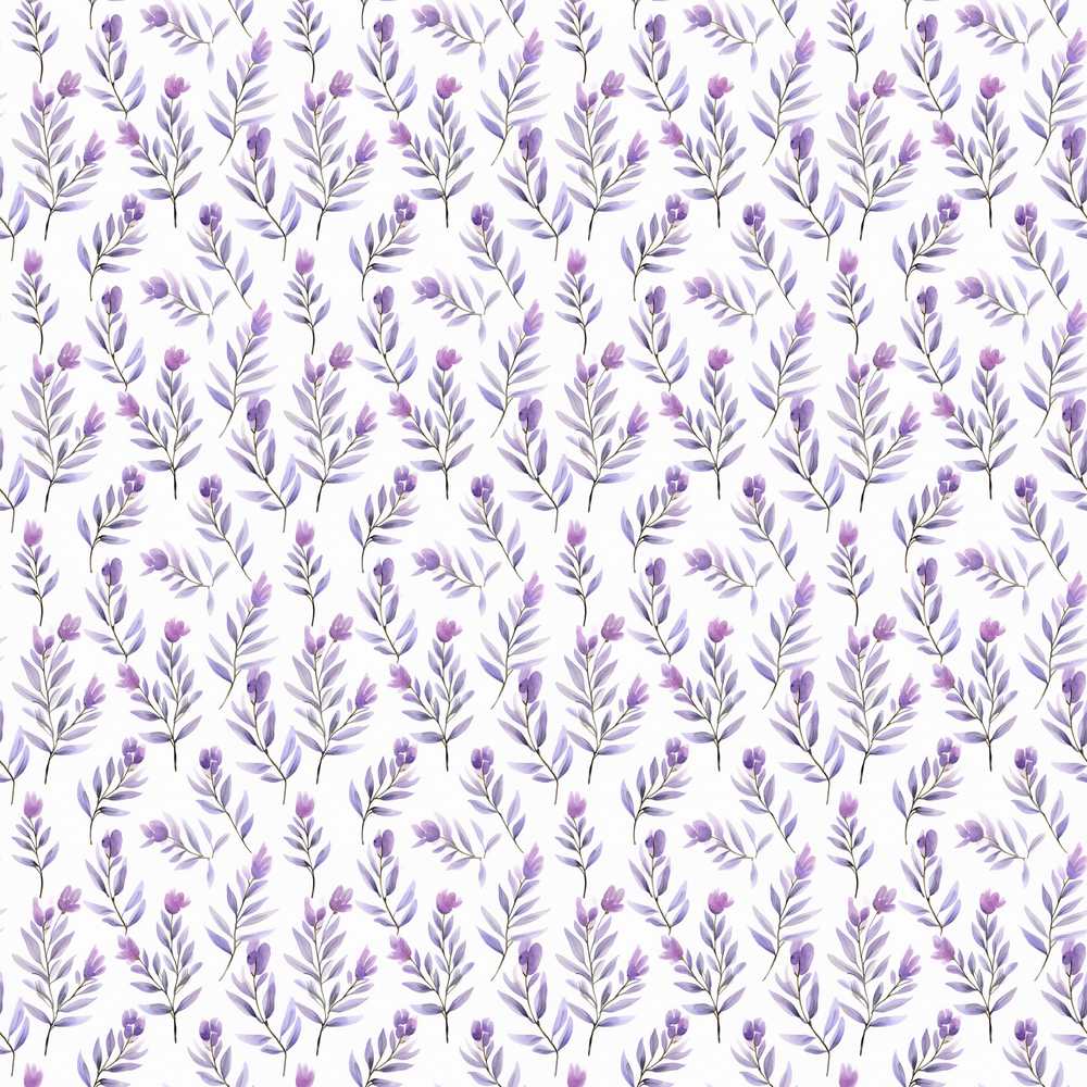 Minimal Lavender Leaves on Light Background Botanical Wildflower Pattern