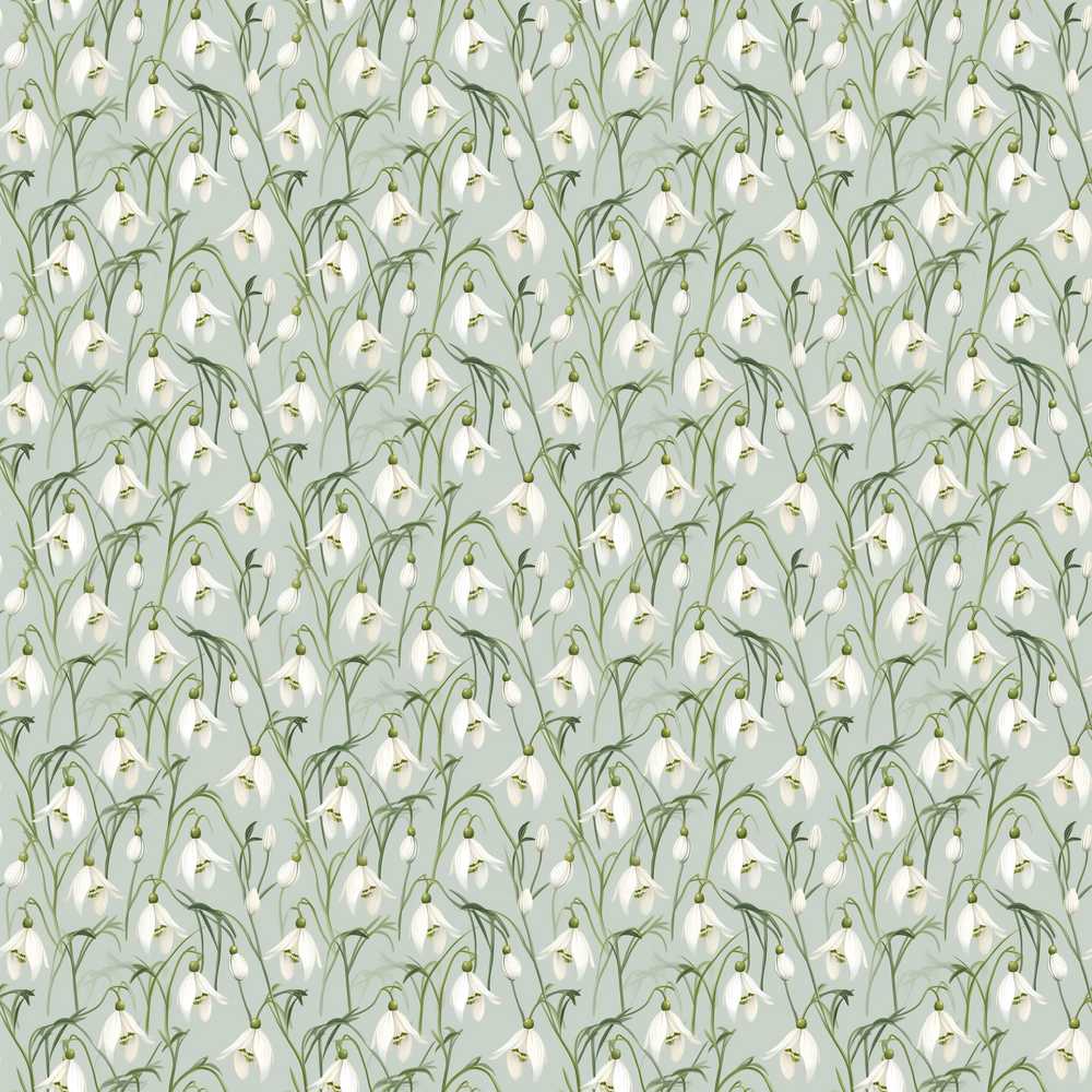 Delicate Snowdrop Flowers on Soft Sage Green Background Wildflower