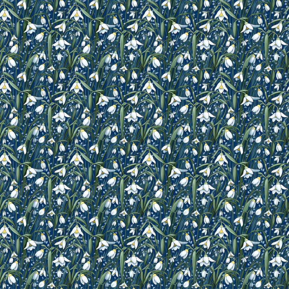 Dense Snowdrop Flower Meadow on Dark Blue Background Wildflower