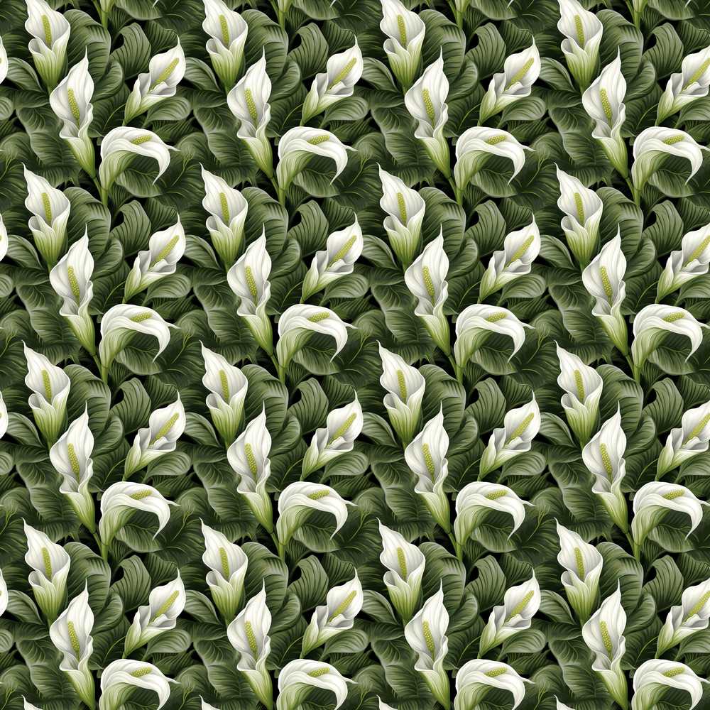 Elegant White Peace Lily Deep Green Leaves Wildflower Pattern
