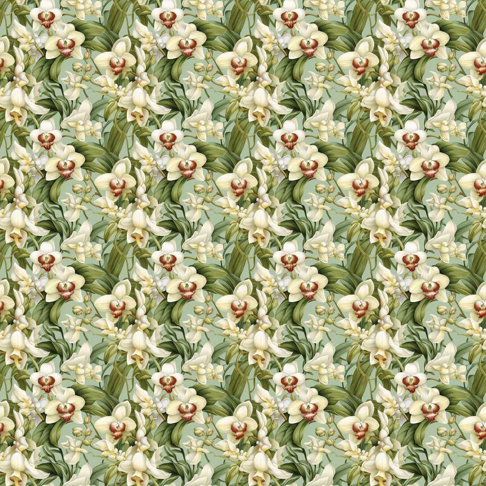 Green Orchid Floral Garden Natural Wildflower Pattern Botanical