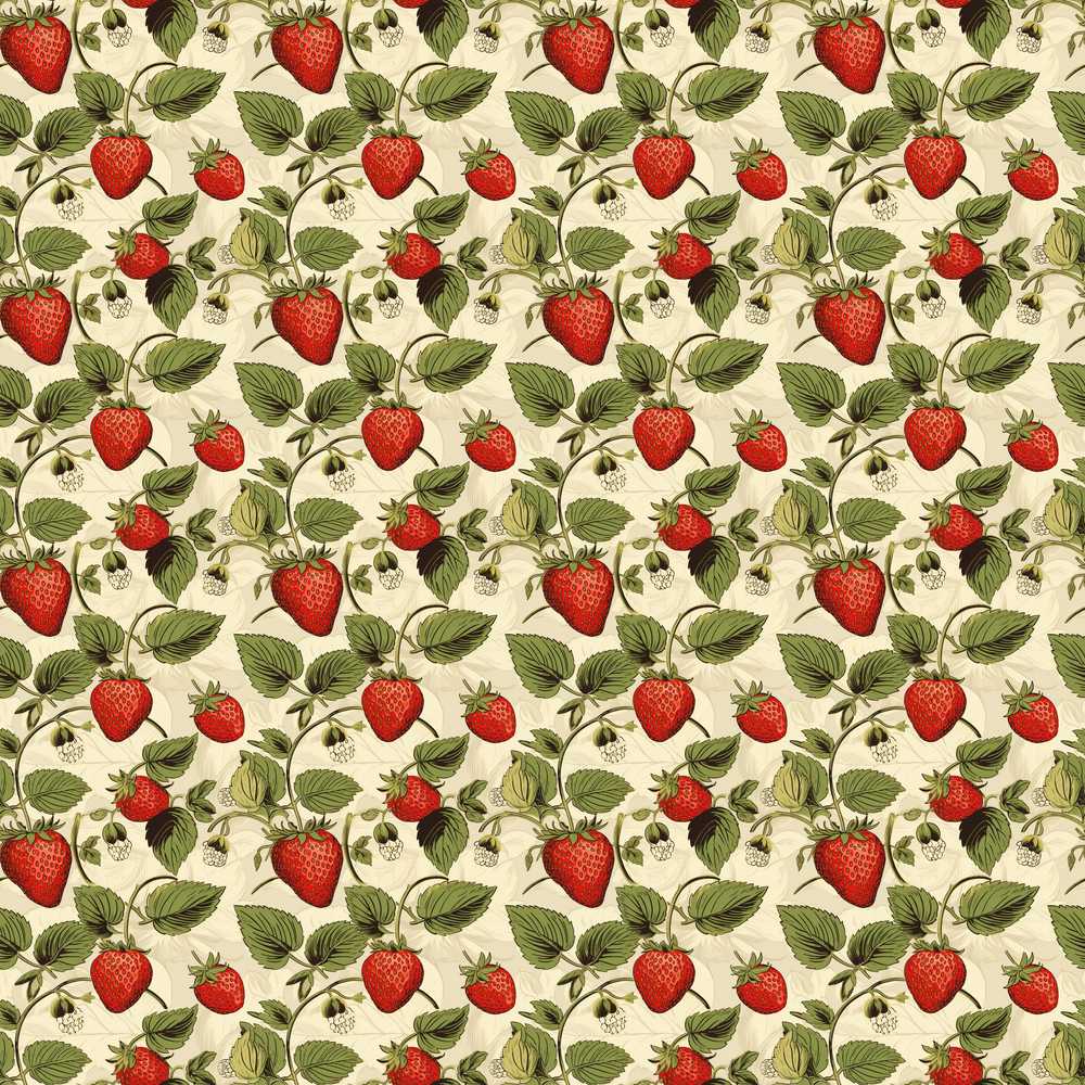 Classic Strawberry Botanical Cream Garden Wildflower Pattern