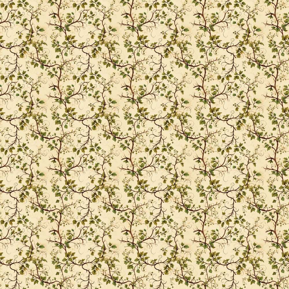 Elegant Twisting Vine Leaves Minimal Wildflower Pattern Botanical