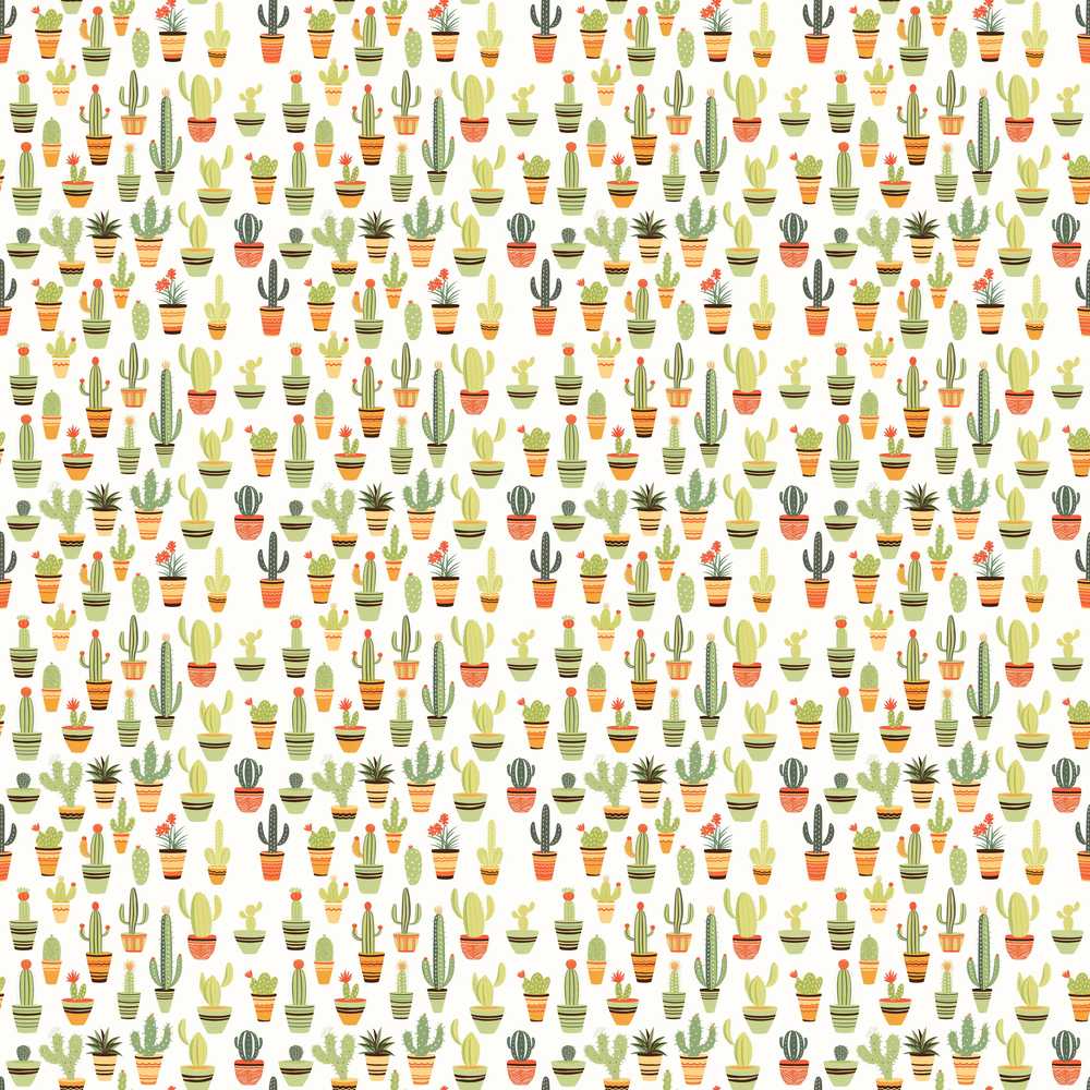 Cute Assorted Potted Cactus Plants on Light Background
