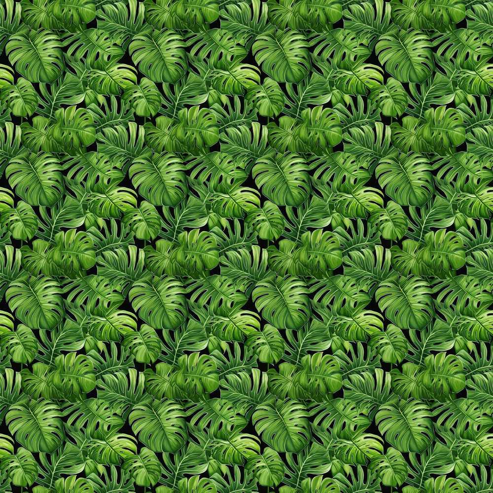 Vibrant Green Monstera Leaves Jungle Wildflower Pattern Botanical