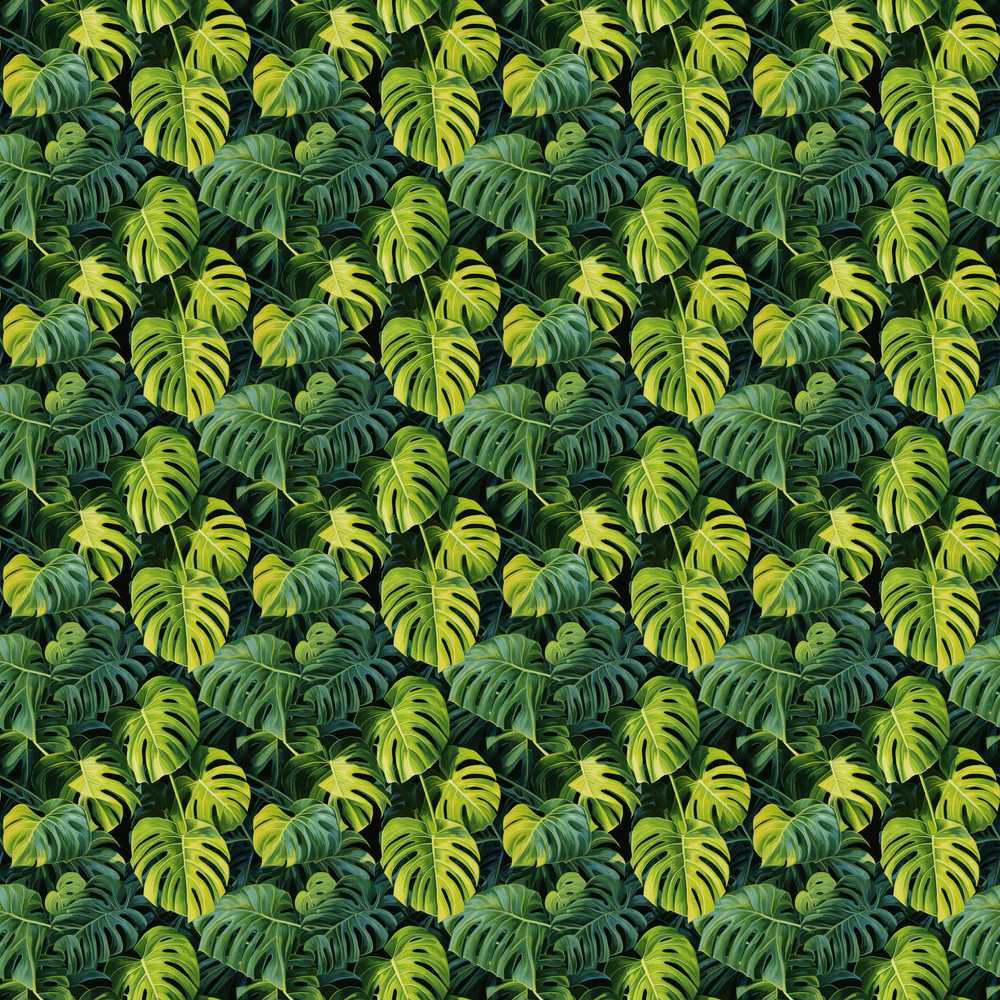 Lush Tropical Monstera Leaves on Dark Background Wildflower Pattern