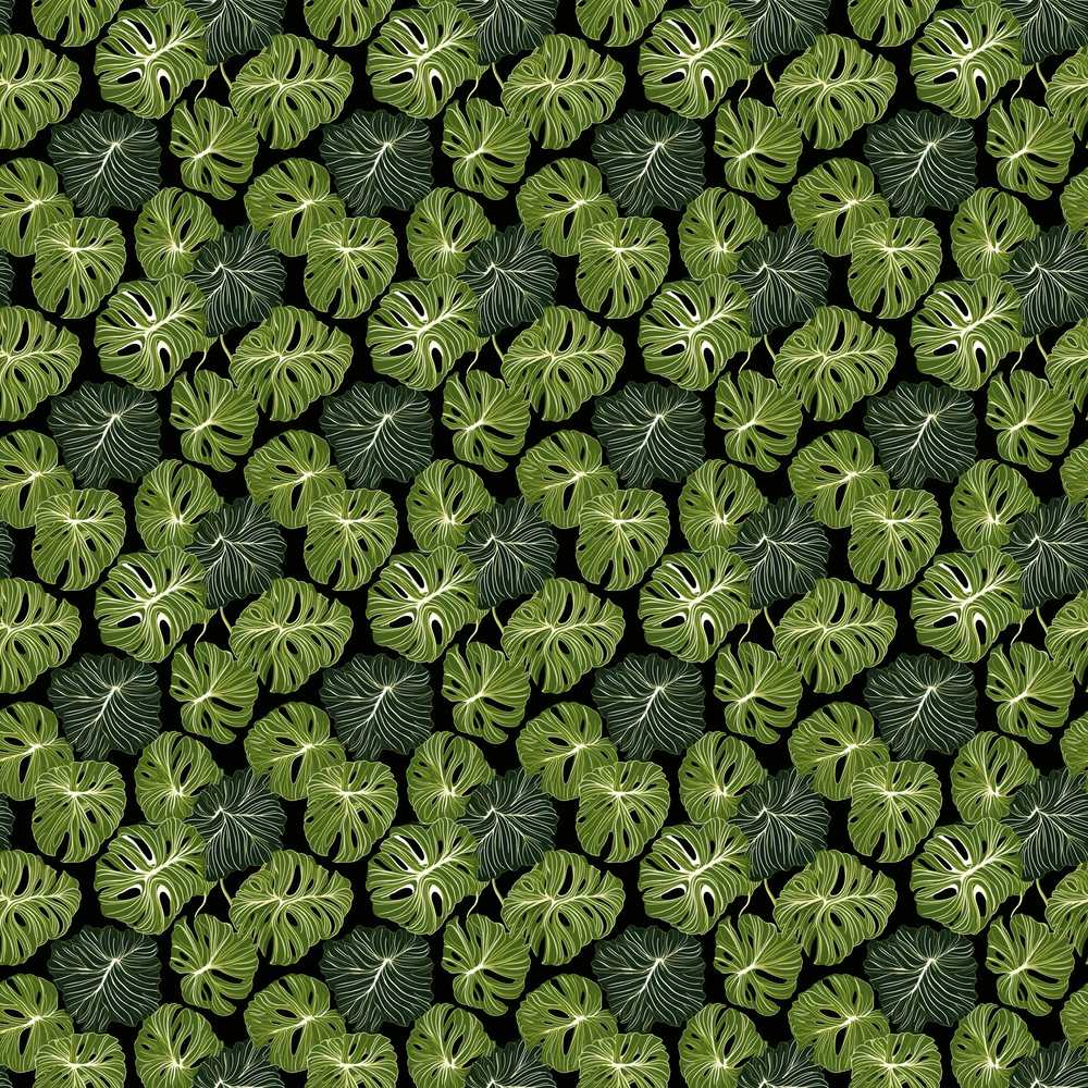 Stylized Monstera Leaf Pattern on Dark Background Wildflower Botanical