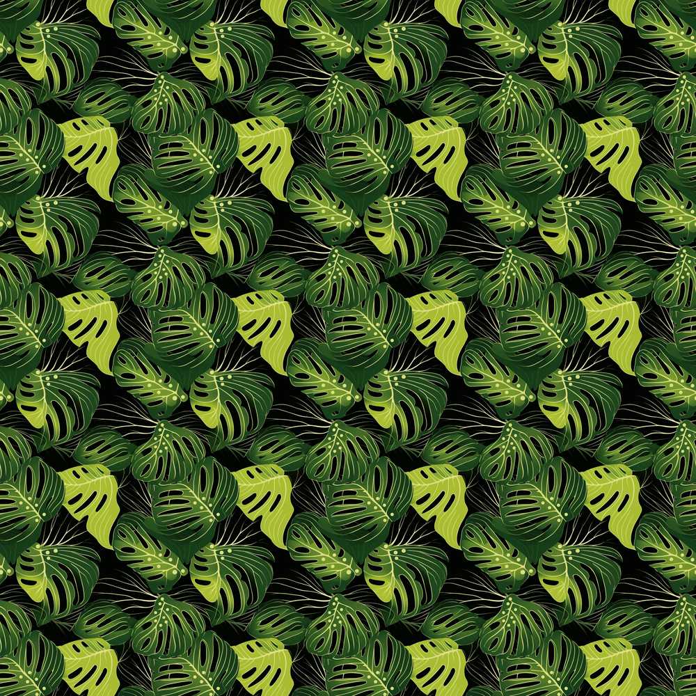 Bold Monstera Leaves on Black Background Tropical Wildflower Pattern
