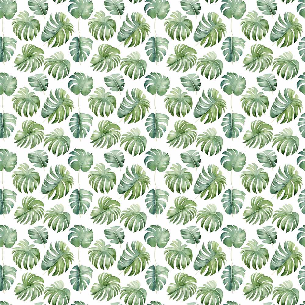 Watercolor Monstera Leaves on White Background Wildflower Pattern Botanical