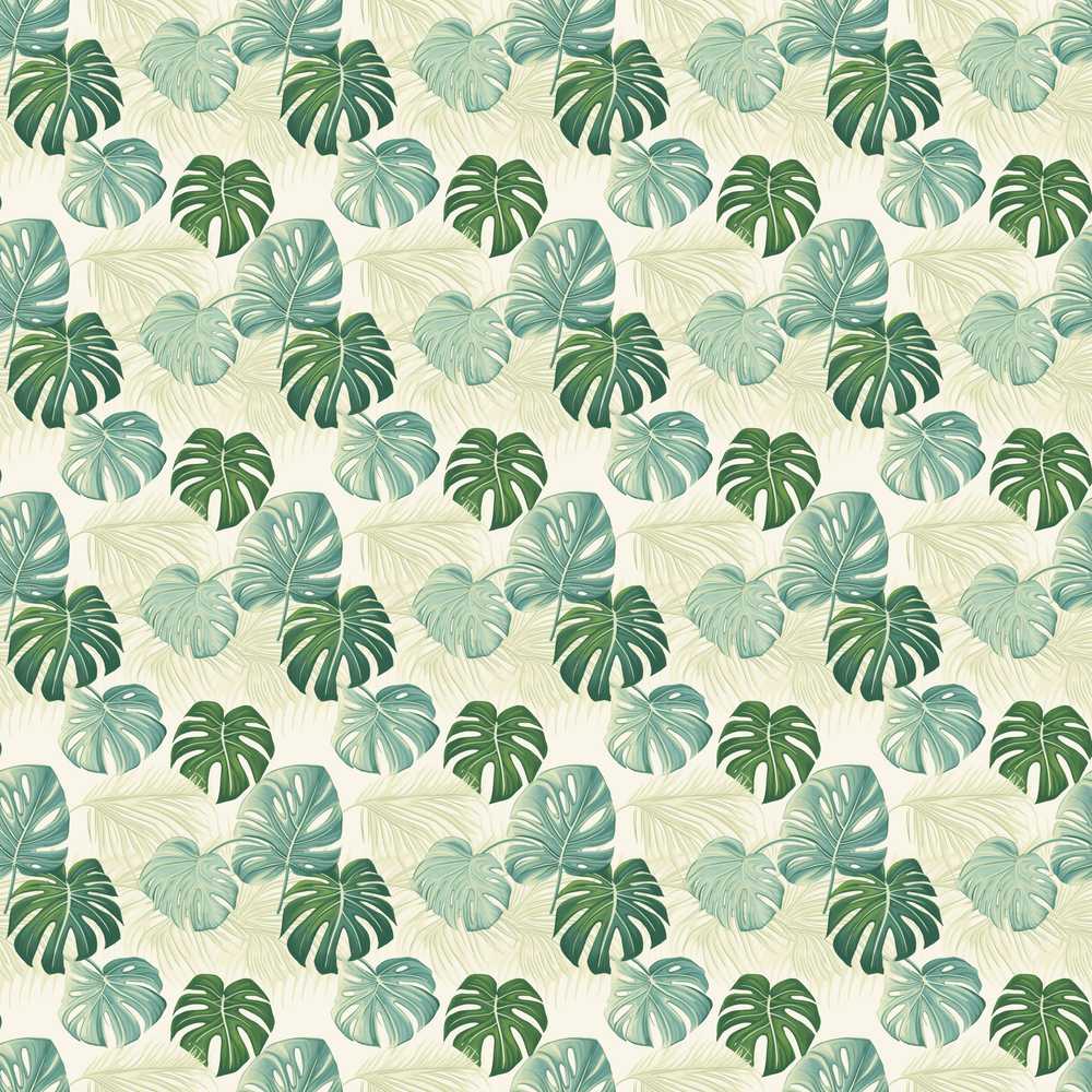 Muted Sage Green Monstera Leaves on Light Background Wildflower