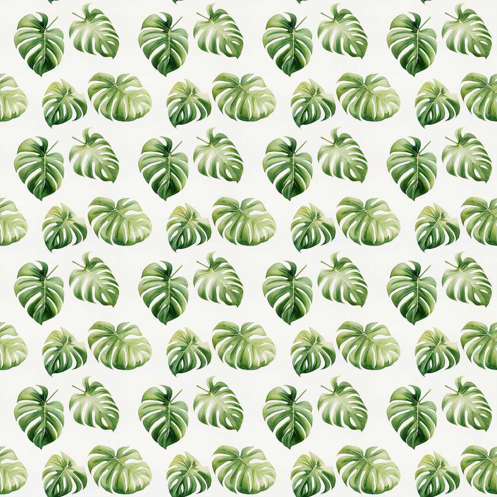 Minimal Watercolor Monstera Leaves on White Wildflower Pattern Botanical