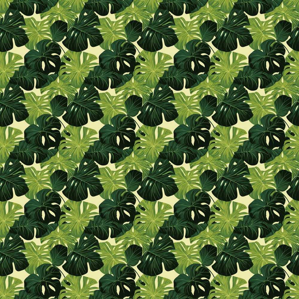 Layered Green Monstera Leaves on Soft Cream Background Wildflower