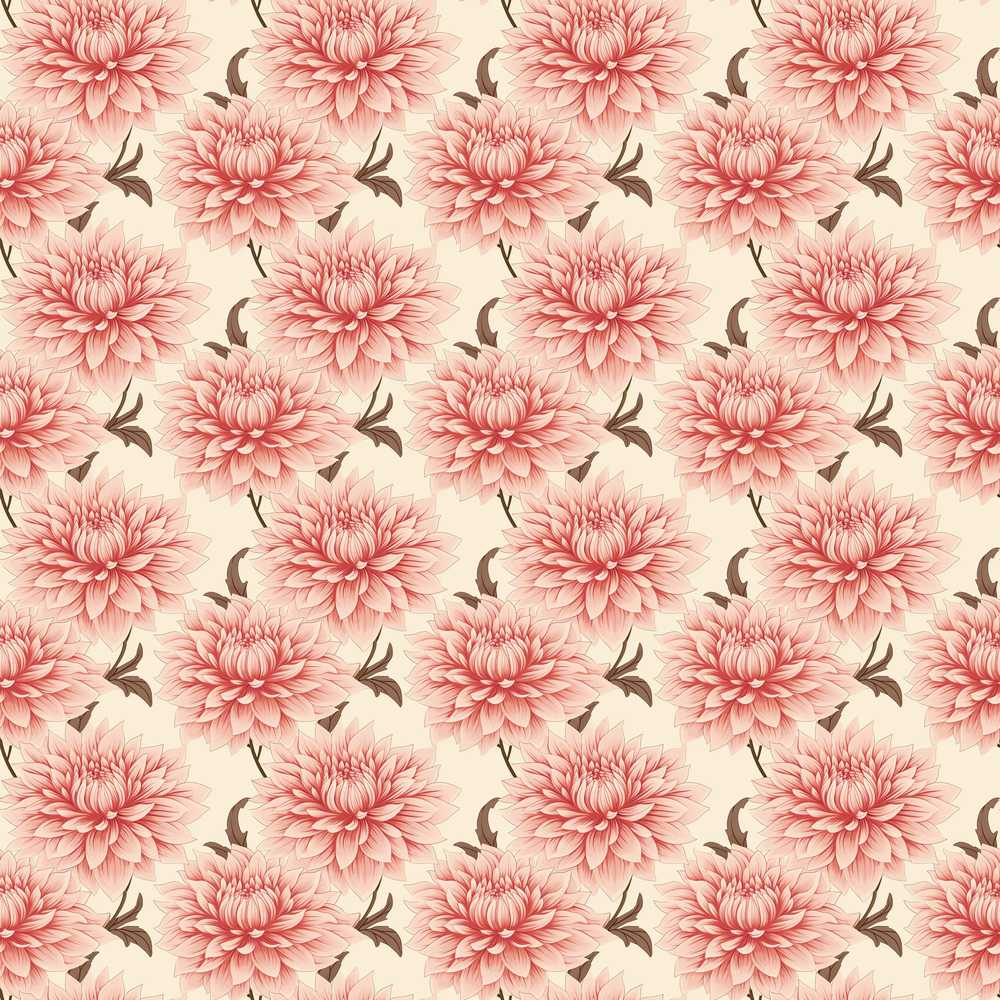 Soft Pink Dahlia Floral Elegant Blossom Wildflower Pattern Botanical