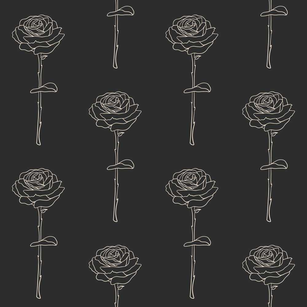 Elegant Rose Line Art Floral on Dark Background Wildflower