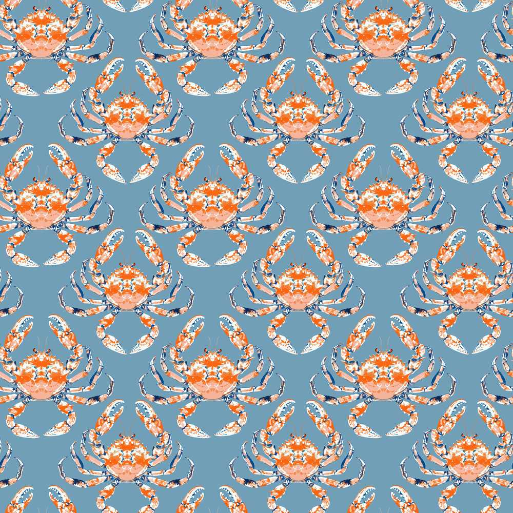 Orange Crab Ocean Marine Life Coastal Illustration Pattern