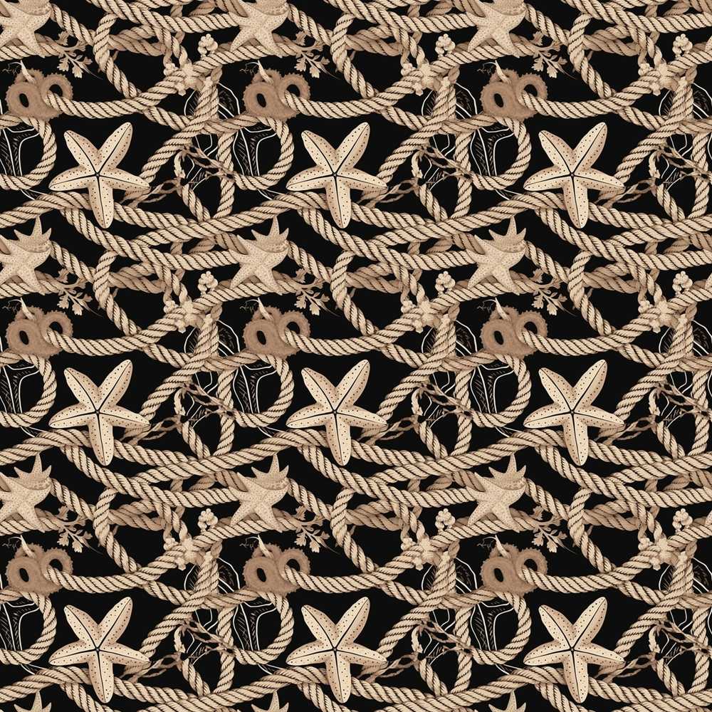 Vintage Nautical Rope Starfish Coastal Marine Net Illustration