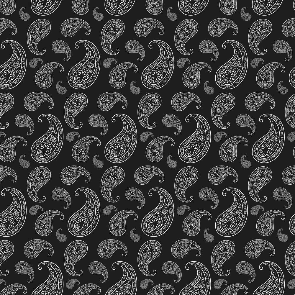 Black White Paisley Bandana Style Classic Ornamental Decorative