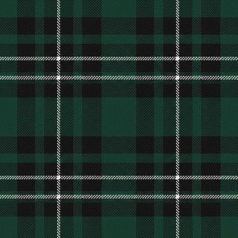 Dark Green Black Classic Tartan Plaid Texture Art